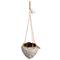 Hello Honey® 7.5" Ivory Hanging Stoneware Seashell Planter with Rope